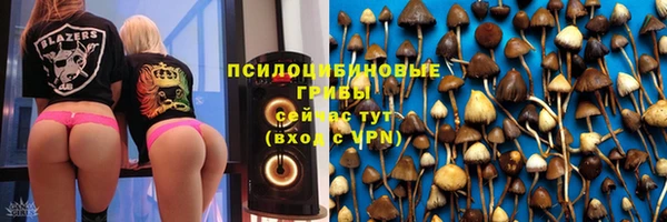 бутират Алзамай