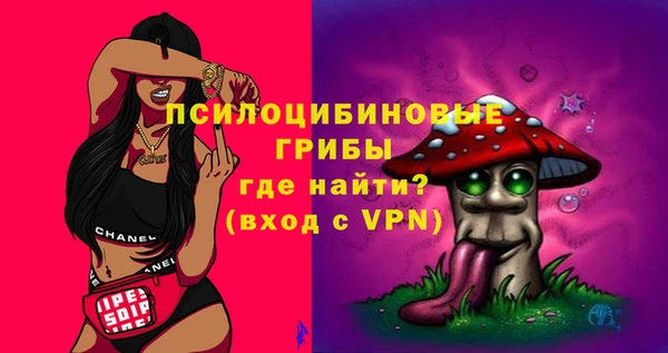 тгк Магас