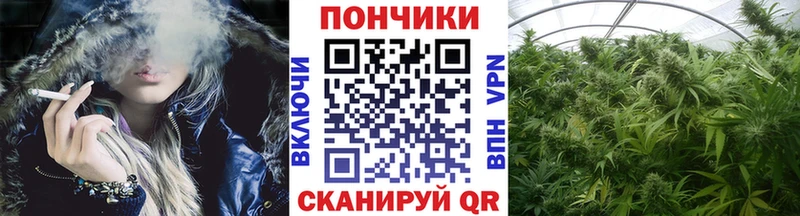 Каннабис план закладки blacksprut ССЫЛКА Лесной